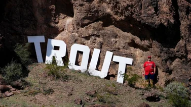 MLB: ¡Encontrado! Esto le sucedió al fanático que puso las letras de "Trout" detrás del estadio (+Fotos)