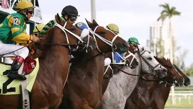 Mira la actuación que tuvo este potro que costó $1.100.000 en Estados Unidos Mira la actuación que tuvo este potro que costó $1.100.000 en Estados Unidos