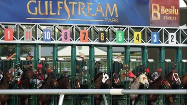 Aquí el Best Bet y los Tips Gulfstream Park 01-03-2024