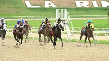 Entérate cual es el nuevo retirado para el 5y6 Nacional dominical Entérate cual es el nuevo retirado para el 5y6 Nacional dominical