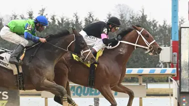 El sobrino de Ángel Castillo se luce en Nueva York al ganar el Tobbogan Stakes de $175.000 El sobrino de Ángel Castillo se luce en Nueva York al ganar el Tobbogan Stakes de $175.000