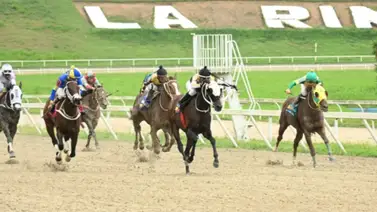 Estos son los retirados de la Reunión N°3 en La Rinconada 2-2-2025 Estos son los retirados de la Reunión N°3 en La Rinconada 2-2-2025