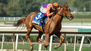 Kopion desarrolló todo el potencial tras ganar en gran performance un Grado 2 Kopion desarrolló todo el potencial tras ganar en gran performance un Grado 2