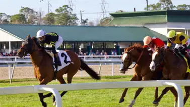 Flavien Prat se acerca a las 1.900 victorias y demuestra por qué es el mejor jinete de los Estados Unidos Flavien Prat se acerca a las 1.900 victorias y demuestra por qué es el mejor jinete de los Estados Unidos