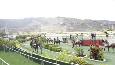 Así quedaron los resultados de las carreras en La Rinconada 2-2-2025 Así quedaron los resultados de las carreras en La Rinconada 2-2-2025