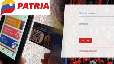 Plataforma Patria: Bonos que puedes cobrar la primera semana de febrero