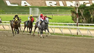 Un golpe para la línea nacional al fracasar ejemplar y a su vez le solicitan exámenes especiales Un golpe para la línea nacional al fracasar ejemplar y a su vez le solicitan exámenes especiales