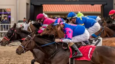 El “Pumita Jr” se lució con su primer stakes de $125.000 en la temporada en este hipódromo El “Pumita Jr” se lució con su primer stakes de $125.000 en la temporada en este hipódromo