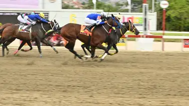 Comisarios abren averiguación administrativa a jinete y entrenador en La Rinconada Comisarios abren averiguación administrativa a jinete y entrenador en La Rinconada