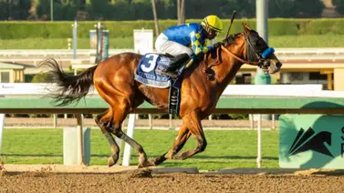 Ganador del premio premio Eclipse Awards aplastó a sus rivales Ganador del premio premio Eclipse Awards aplastó a sus rivales