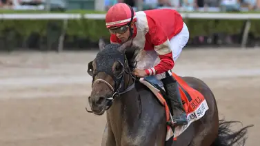 Burnham Square de manera llamativa sorprende en el Holy Bull S. (G3) prueba clasificatoria para el Derby de Kentucky Burnham Square de manera llamativa sorprende en el Holy Bull S. (G3) prueba clasificatoria para el Derby de Kentucky