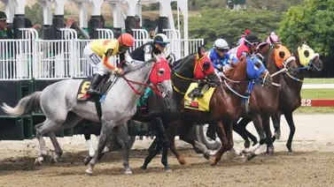 Diez razones para no perderse la cuarta reunión de carreras en La Rinconada Diez razones para no perderse la cuarta reunión de carreras en La Rinconada