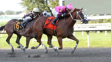 Mychel Sánchez asume el liderato de victorias en este meeting del 2025 Mychel Sánchez asume el liderato de victorias en este meeting del 2025