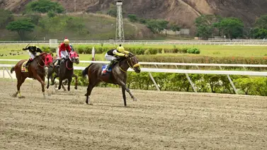 La espera termina para este caballo investigado que retorna a La Rinconada después de 70 días La espera termina para este caballo investigado que retorna a La Rinconada después de 70 días