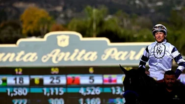 Stronach Group explora opciones de venta para Gulfstream Park y Santa Anita