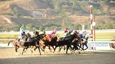 El caballo que deslumbró al derrotar a Padel regresa a La Rinconada tras 336 días de ausencia El caballo que deslumbró al derrotar a Padel regresa a La Rinconada tras 336 días de ausencia