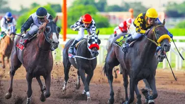 Jockeys nativos suman triunfos en los hipódromos chilenos y peruanos Jockeys nativos suman triunfos en los hipódromos chilenos y peruanos