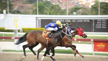 Caballo figurador selectivo del 2024 regresa a la competencia en La Rinconada después de 63 días