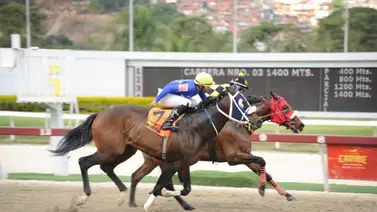 Caballo figurador selectivo del 2024 regresa a la competencia en La Rinconada después de 63 días Caballo figurador selectivo del 2024 regresa a la competencia en La Rinconada después de 63 días