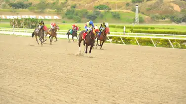 Descubre al ejemplar que se perfila como la auténtica línea del 5y6 nacional en La Rinconada Descubre al ejemplar que se perfila como la auténtica línea del 5y6 nacional en La Rinconada