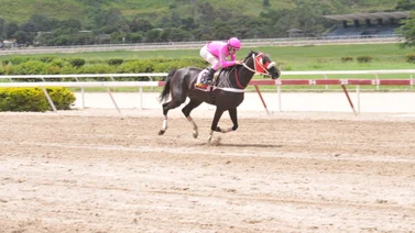 Esta yegua sin victorias en más de dos años se asoma como favorita en la R4 de La Rinconada