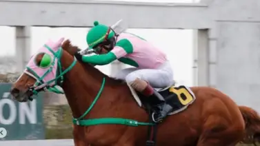 Mira como el jinete venezolano Luís Rojas consiguió triplete de victorias en Chile Mira como el jinete venezolano Luís Rojas consiguió triplete de victorias en Chile