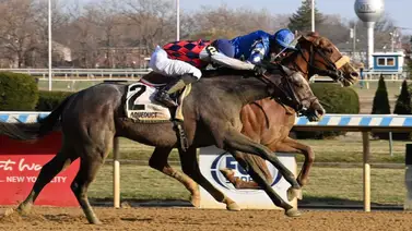 Llegó la hora de Poster para mostrar todo su talento en la Ruta al Kentucky Derby Llegó la hora de Poster para mostrar todo su talento en la Ruta al Kentucky Derby