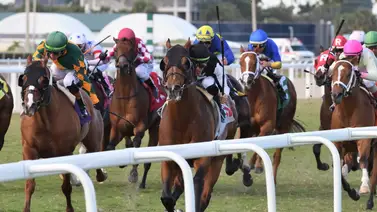 Aquí está el Best Best y los Picks para la jornada en Gulfstream Park 5-2-2025 Aquí está el Best Best y los Picks para la jornada en Gulfstream Park 5-2-2025