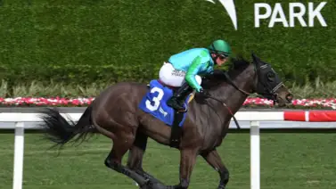 Acá tienes todas las montas de Javier Castellano de Gulfstream Park en la semana Acá tienes todas las montas de Javier Castellano de Gulfstream Park en la semana