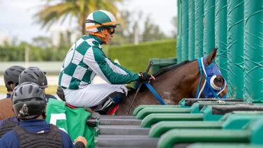 Jaramillo buscará mantener la racha de victorias con este ejemplar de Antonio Sano en Gulfstream Park