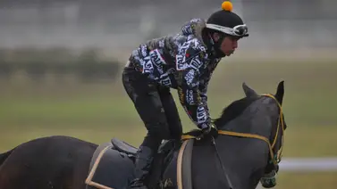 La estrategia de Yamper González es unir partida y llegada con su ejemplar en La Rinconada (+entrevista) La estrategia de Yamper González es unir partida y llegada con su ejemplar en La Rinconada (+entrevista)