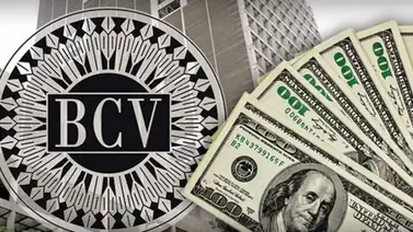 Dólar BCV para este jueves 6 de febrero: Precio oficial según el Banco Central de Venezuela Dólar BCV para este jueves 6 de febrero: Precio oficial según el Banco Central de Venezuela