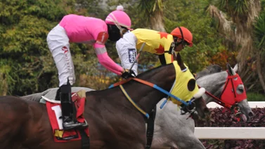 Ejemplares en carrera en la arena caraqueña.