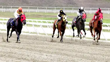 Ejemplares en carrera en la pista de La Rinconada. Ejemplares en carrera en la pista de La Rinconada.