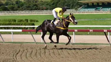 Descubre el ajuste de uno de los fijos en las no válidas de La Rinconada Descubre el ajuste de uno de los fijos en las no válidas de La Rinconada