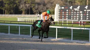 El Sam Davis Stakes G3 comanda jornada de Stakes el sábado en Tampa Bay Downs El Sam Davis Stakes G3 comanda jornada de Stakes el sábado en Tampa Bay Downs