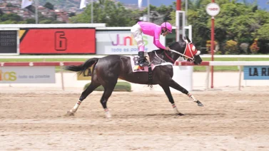 La Yegua que puede romper su sequía tiene un ajuste contenido para la R4 en La Rinconada tras más de dos años sin victorias