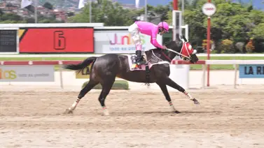 La Yegua que puede romper su sequía tiene un ajuste contenido para la R4 en La Rinconada tras más de dos años sin victorias La Yegua que puede romper su sequía tiene un ajuste contenido para la R4 en La Rinconada tras más de dos años sin victorias