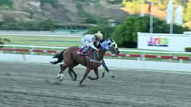 Esta yegua viene de ganar y como ajustó puede repetir en la primera válida de La Rinconada Esta yegua viene de ganar y como ajustó puede repetir en la primera válida de La Rinconada