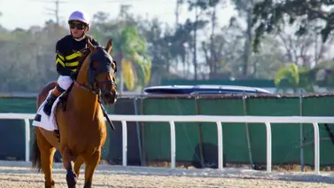 El mejor jockey de Estados Unidos del 2024 buscará estos Stakes el sábado El mejor jockey de Estados Unidos del 2024 buscará estos Stakes el sábado