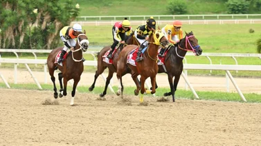 Yegua selectiva ganadora de ocho carreras se prepara para una nueva temporada en La Rinconada