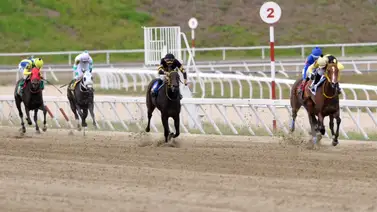 Este ejemplar con su ajuste se prepara para conquistar una carrera compleja por la abundancia de datos Este ejemplar con su ajuste se prepara para conquistar una carrera compleja por la abundancia de datos