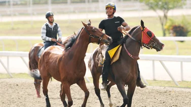 Ejemplares con los traqueadores durante la jonrada de ajuste en la pista de La Rinconada.