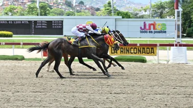 Pendientes con este ejemplar que da por video y mejora un mundo el puesto de pista en La Rinconada