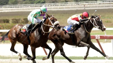 Ejemplares en carrera en la arena caraqueña.