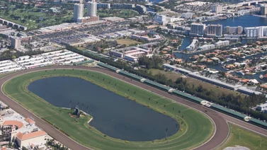 Aprobada en primera discusión Ley que eliminaría las carreras de caballos en Gulfstream Park