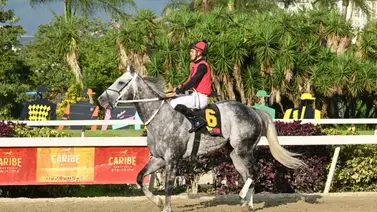 Ejemplar Vida cambia de cuadra y ahora tiene este entrenador Ejemplar Vida cambia de cuadra y ahora tiene este entrenador