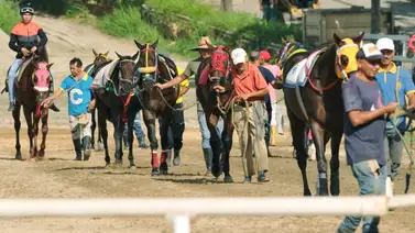 Conozca cuántos ejemplares importados trabajaron este jueves en La Rinconada Conozca cuántos ejemplares importados trabajaron este jueves en La Rinconada