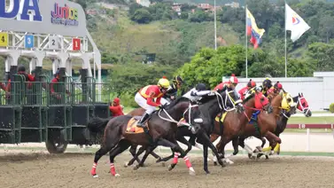 Favoritos de la cátedra para el 5y6 Nacional de la reunión N°4 en el hipódromo La Rinconada Favoritos de la cátedra para el 5y6 Nacional de la reunión N°4 en el hipódromo La Rinconada