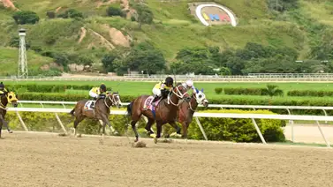 El dato más corrido a esta hora en La Rinconada que buscará superar a unos de los fijos del 5y6 El dato más corrido a esta hora en La Rinconada que buscará superar a unos de los fijos del 5y6
